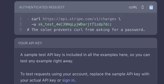 Stripe API documentation showing both SDKs and API calls